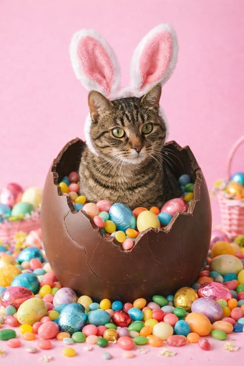 Easter Egg photo style preview