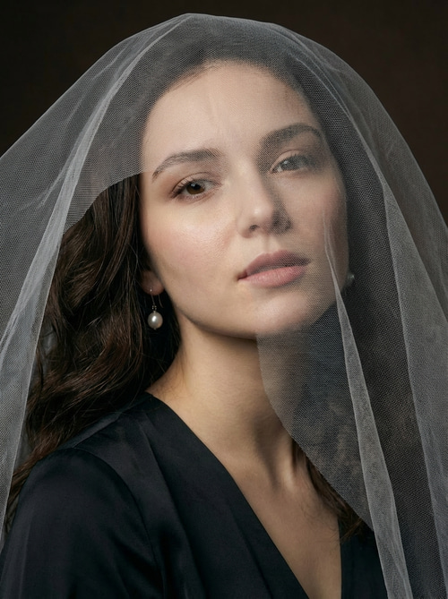 Silk Veil photo style preview